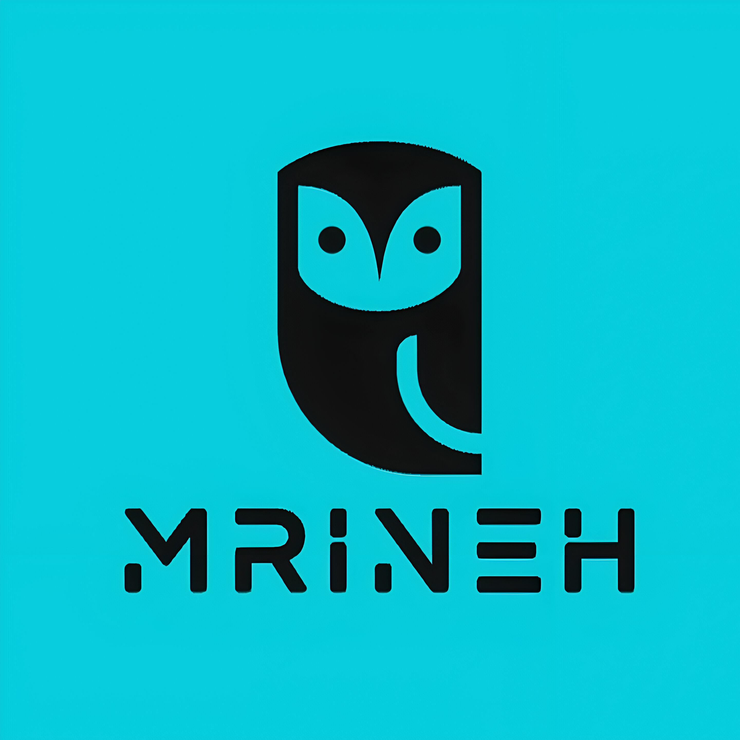Mrineh edtech pvt ltd 